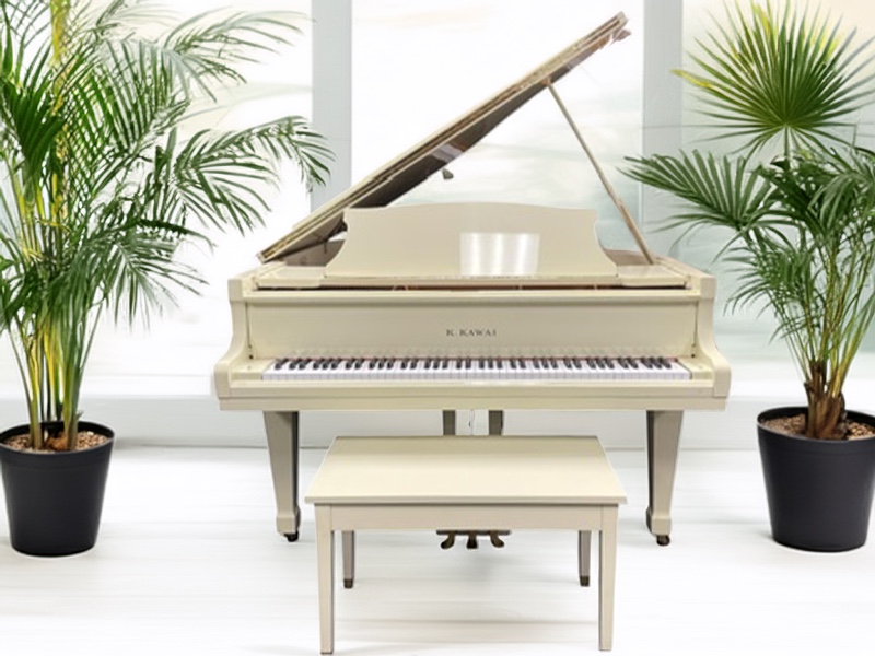 KawaiKG-2PC- Staged.png